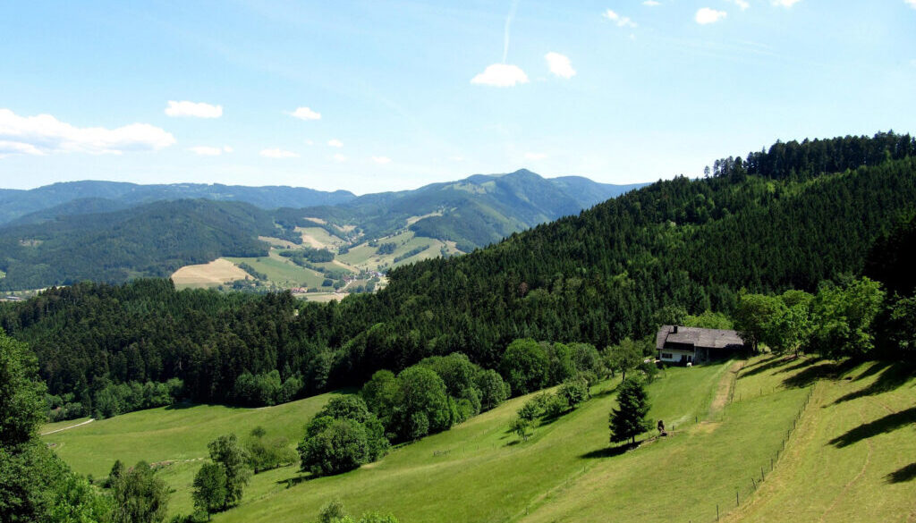 Schwarzwald